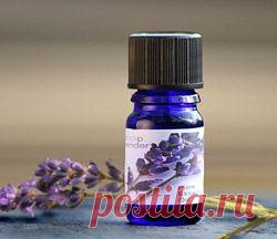 Чудодейственное эфирное масло лаванды