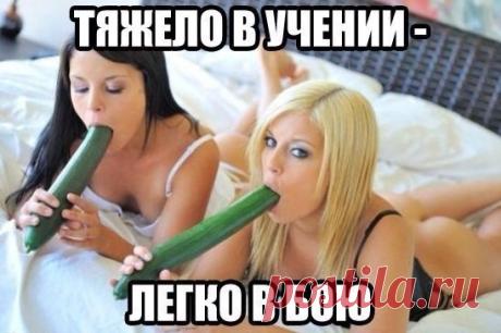 Смешные картинки с надписями