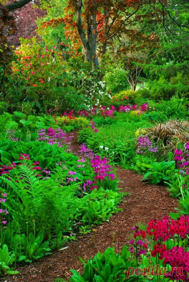 HOME & GARDEN: 40 инспирации для английского сада