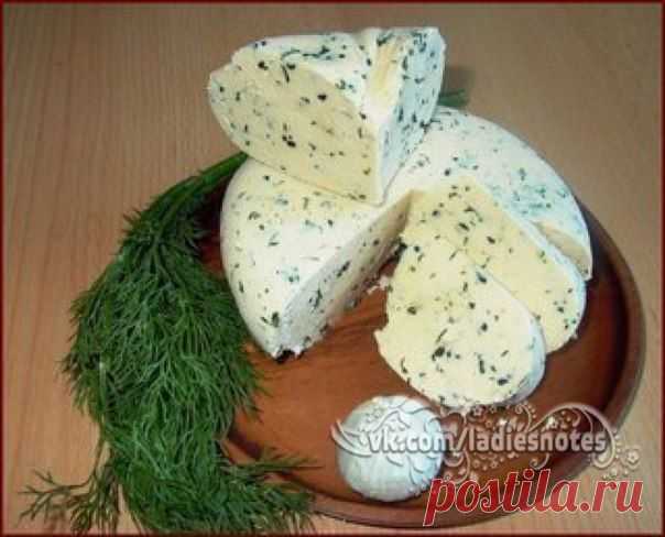 ТОР - 14 Подборка вкусных домашних сыров!