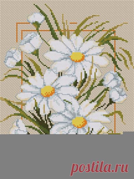 Вышивка крестом "Ромашки и шиповник" - Поиск в Google