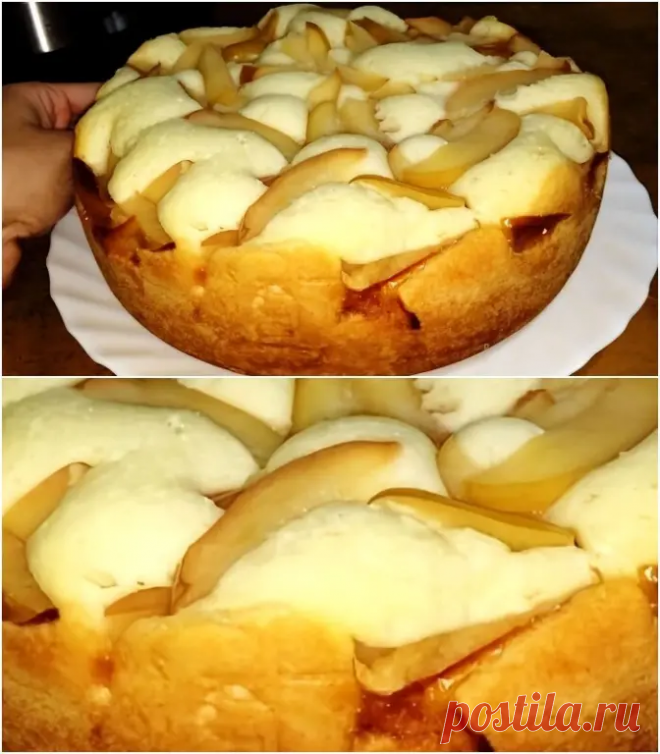Шарлотка 