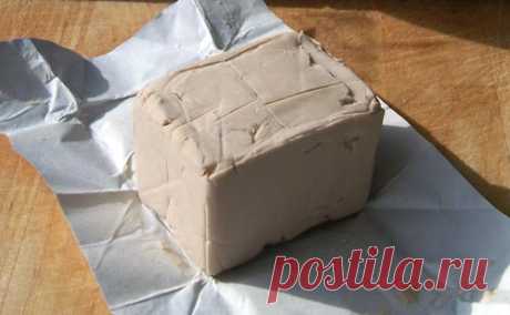 Дрожжи для браги какие лучше: советы по выбору