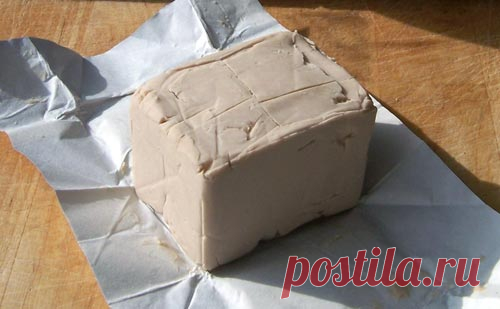 Дрожжи для браги какие лучше: советы по выбору