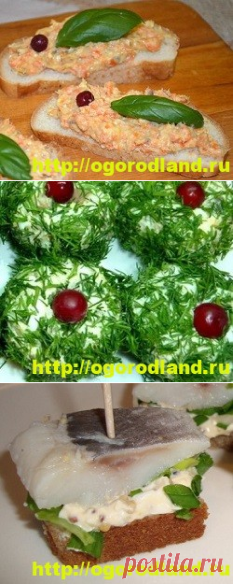Закуски с сельдью. Вкусные холодные закуски для праздника