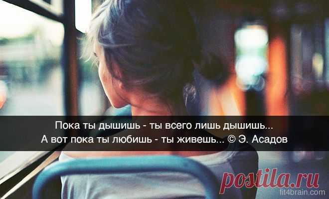Одной фразой.