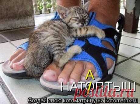 ۩♥ДИЗАЙН интерьера , РОСКОШНЫЕ дома и КВАРТИРЫ♥۩
Т@м@р@ ***********