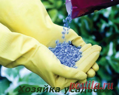 Калийные удобрения, применение для овощей и цветов.