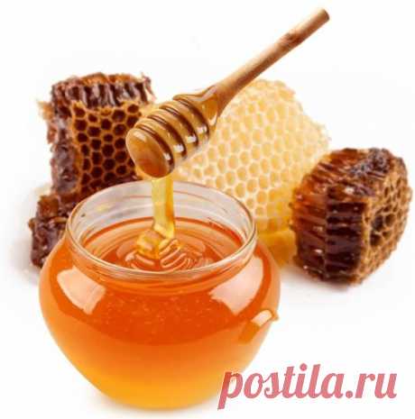 ЗДОРОВЬЕ. | Записи в рубрике ЗДОРОВЬЕ. | Дневник ШУНИ