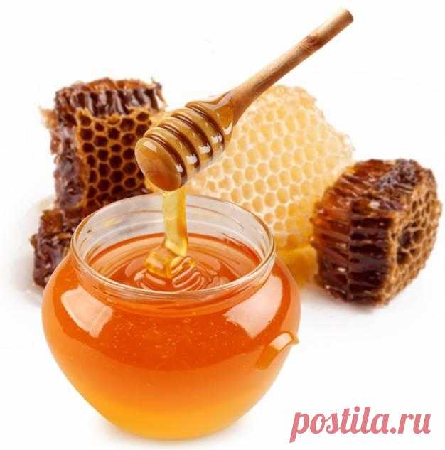 ЗДОРОВЬЕ. | Записи в рубрике ЗДОРОВЬЕ. | Дневник ШУНИ