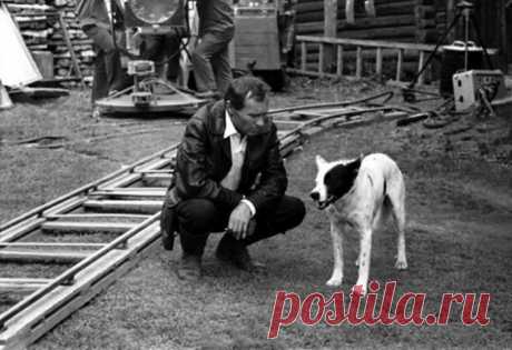 Василий Шукшин