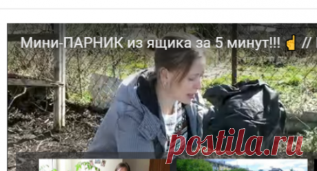 Мини-ПАРНИК из ящика за 5 минут!!! // How to: Mini-GREENHOUSE out of the box for... — Яндекс.Видео