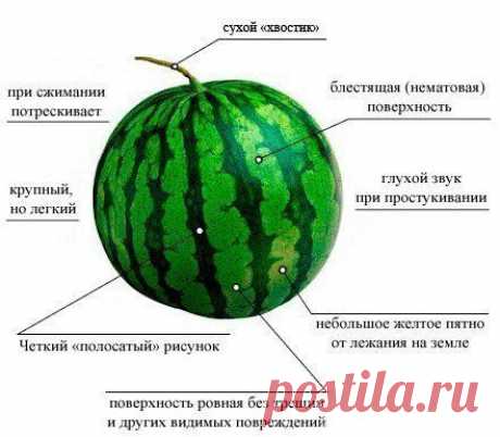 Мой Мир@Mail.Ru