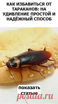 (173) Pinterest