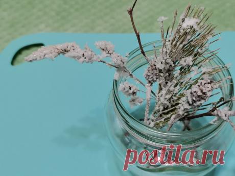 Выращиваем с сыном "веточки с инеем", как делали в СССР. Показываем, что у нас получается спустя 3, 12 и 48 часов | Зоркий | Яндекс Дзен