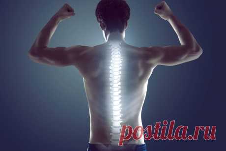 Главные враги здоровой спины (из книги «Цигун для позвоночника»)