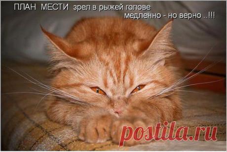 Интересные новости