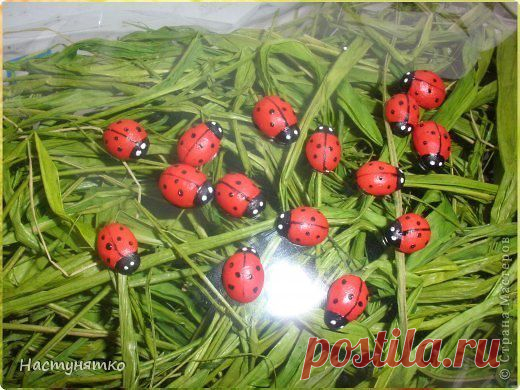 идеи на самые разные темы.часть 5. / Болталка / Разговоры на любые темы