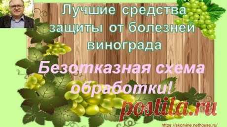 Лучшие средства защиты от болезней винограда. Часть 2. Безотказная схема обработки
