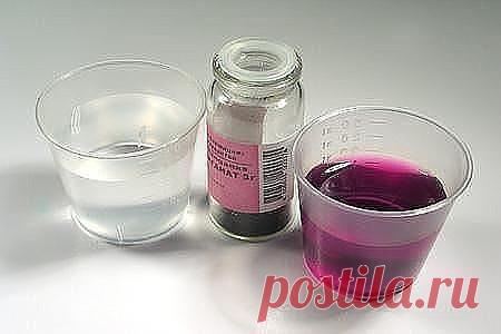 В помощь дачнику зеленая аптека для растений против вредителей и болезней!