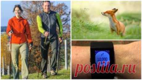 6 способов снизить артериальное давление, если обычные препараты не справляются