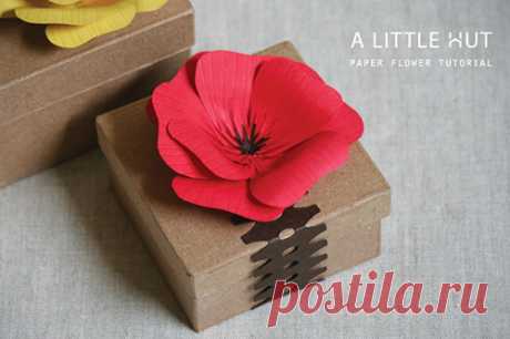 Как сделать бумажные маки - Домашний hand-made Что-то в последнее время меня очаровывают большие бумажные цветы. Ну разве это не прелесть: на фоне невзрачной бумаги поселился яркий большой цветок мака! И что восхитительно — цветок очень легко …