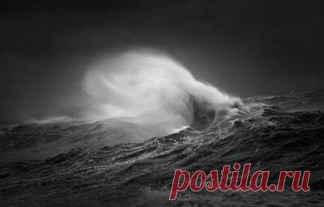 Победители фотоконкурса Black+White Photographer of the Year 2018 Журнал Black+White Photography в партнёрстве с компанией Fujifilm организовал конкурс чёрно-белой фотографии для любителей и профессионалов. Главная победа в этом году досталась Рейчел Талибарт за сни...