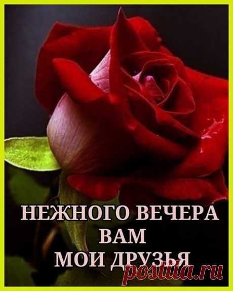 💞_//_ПРЕКРАСНОГО ВЕЧЕРА,ДРУЗЬЯ_\\_💞 –