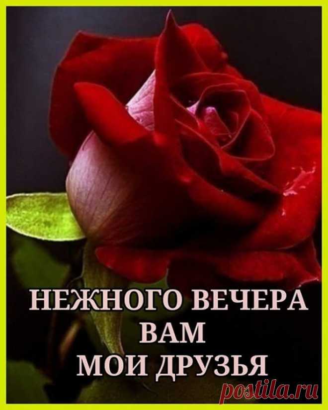 💞_//_ПРЕКРАСНОГО ВЕЧЕРА,ДРУЗЬЯ_\\_💞 –