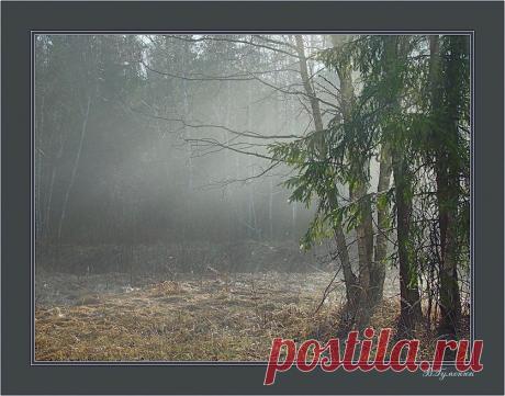 весеннее пробуждение: 12 тыс изображений найдено в Яндекс.Картинках