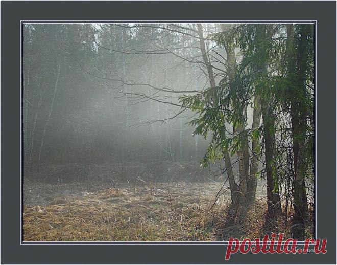 весеннее пробуждение: 12 тыс изображений найдено в Яндекс.Картинках