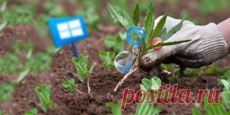 6 ненужных программ в Windows 10, которые следует удалить Сколько программ вы используете регулярно? Хотите знать, какие приложения для Windows 10 можно безопасно удалить? Вот список таких программ. | Блог Евгения Левашова