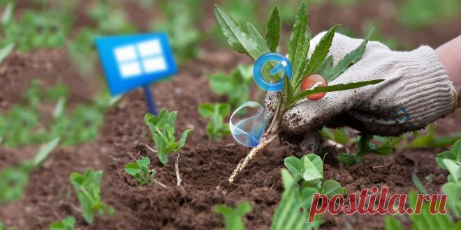 6 ненужных программ в Windows 10, которые следует удалить Сколько программ вы используете регулярно? Хотите знать, какие приложения для Windows 10 можно безопасно удалить? Вот список таких программ. | Блог Евгения Левашова