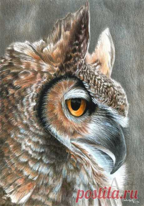 Eule-Kunstdruck von Carla Kurt Vogel 11 x 14 von CarlaKurtArt