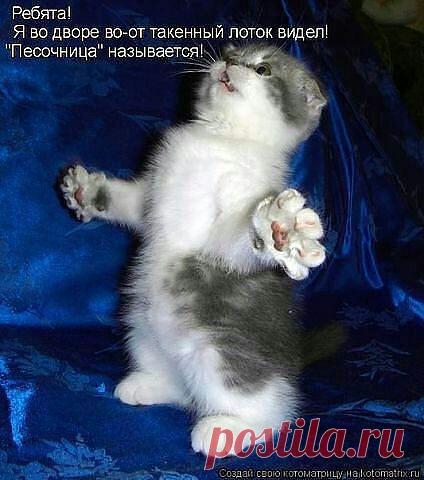 ((((Положительное Настроение))))
Петр Рубашкин