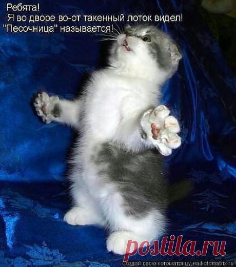 ((((Положительное Настроение))))
Петр Рубашкин