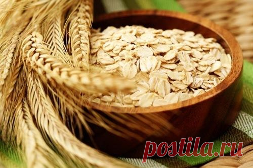 ПОЛЕЗНЫЕ СВОЙСТВА ОВСА ДЛЯ ОРГАНИЗМА - СЛАВЯНСКАЯ ОБЩИНА - Группы Мой Мир