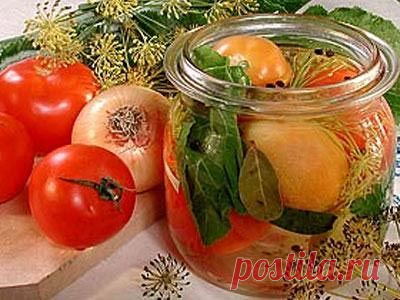 Лучшие рецепты засолок