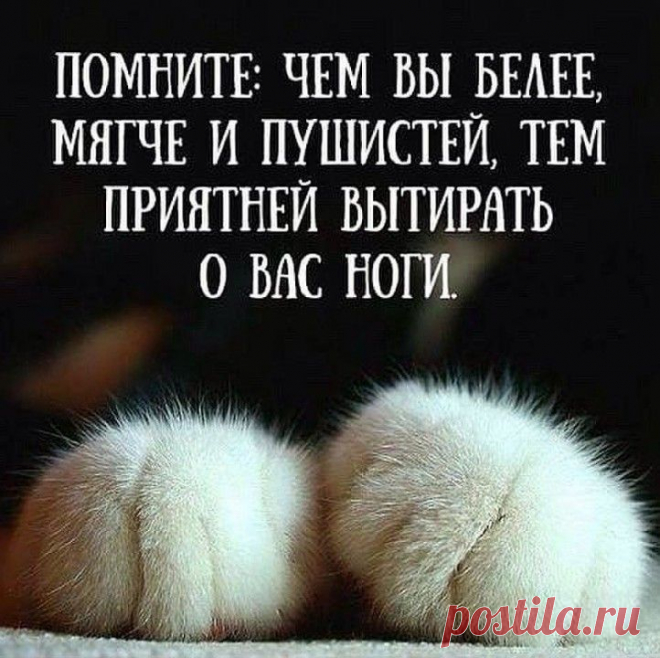 Одноклассники