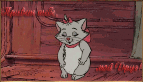 Живые фотографии – Живые картинки – Сообщество – Google+