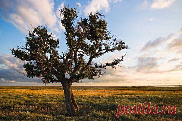 Арбатская стрелка