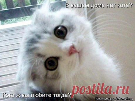 Антидепрессанты | KotoMail.ru