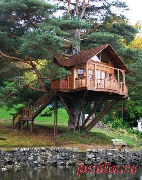 Сказочный дом на дереве.