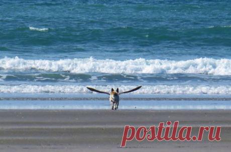 100 лучших фотографий года / Surfingbird - все, что интересно тебе