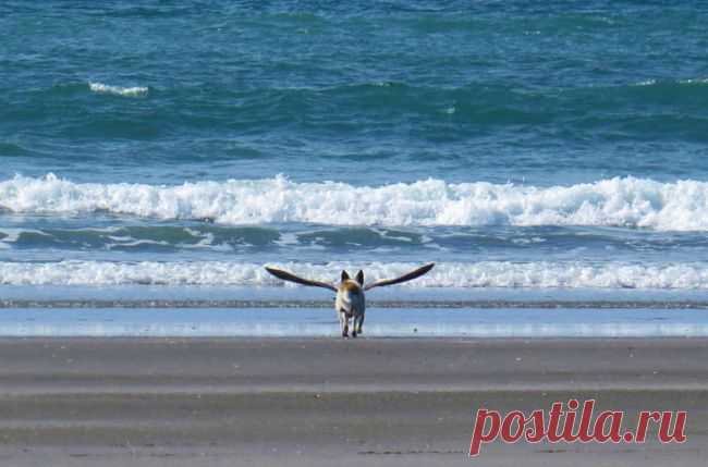 100 лучших фотографий года / Surfingbird - все, что интересно тебе