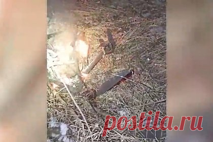 В ДНР показали видео падения горящей украинской «Бабы-яги». Военнослужащие отдельного зенитного ракетного дивизиона Первого Донецкого армейского корпуса перехватили в небе над Донецкой народной республикой тяжелый дрон Вооруженных сил Украины «Баба-яга». Отмечается, что украинские военные намеревались применить его для ударов по гражданской инфраструктуре.