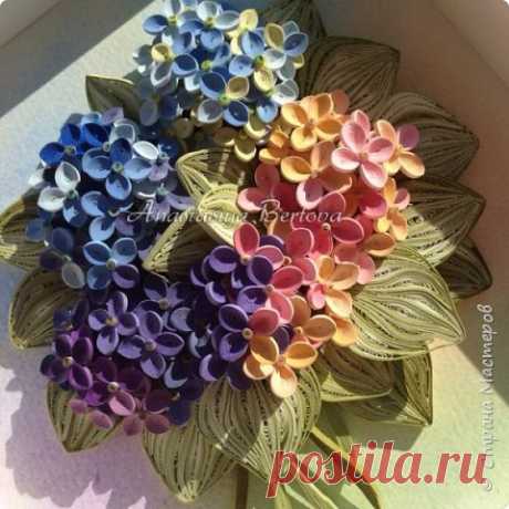 Анастасия Бертова | Страна Мастеров