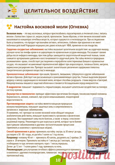 Настойка восковой моли (Огневка)
