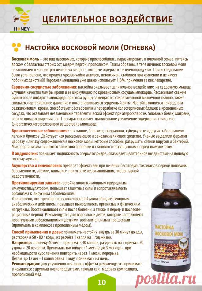 Настойка восковой моли (Огневка)
