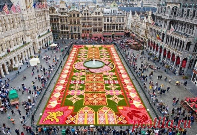 Ковры из цветов